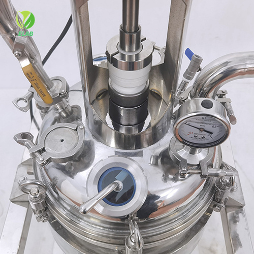 10L Stainless Steel Reactor