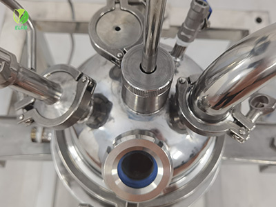 2L Stainless Steel Reactor