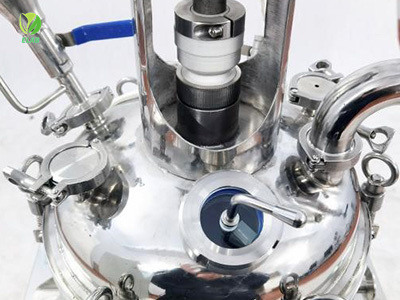 30L Stainless Steel Reactor