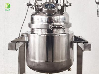 5L Stainless Steel Reactor