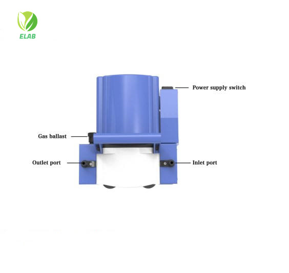 Anti-corrosive diaphragm vacuum pump