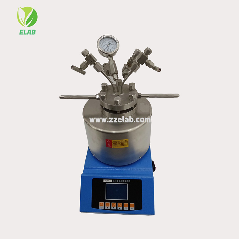 High-pressure reactor