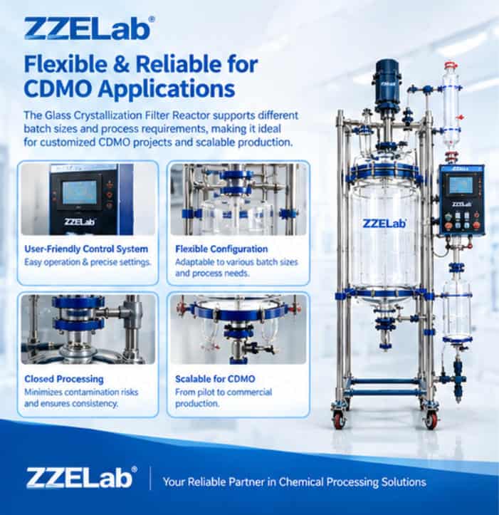 Glass Crystallization Filter Reactor (2).jpg